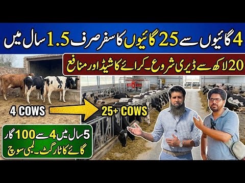 4 cows say 25 cows ka safar II 20 lac say dairy farming start II Small scale dairy farming