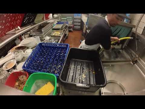 UCLA Dishwasher (Back‑of‑House Support)