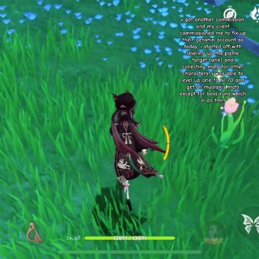 Genshin Impact Account Services: Leveling Up Arle