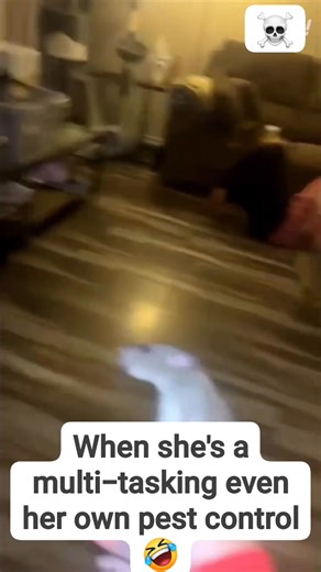 #rat #pestcontrol #cat #mom #closetcleanout #closet #bedroom #daughter #fypシ゚viralシ #lol | JT Mfwic Tellez