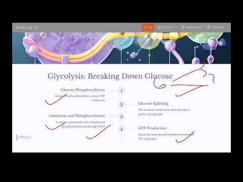 Bioenergetics Part1 Biochemistry 2ns sem