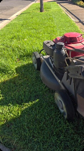 3.8K views · 1.4K reactions | Close up  Have a look at us Giving...