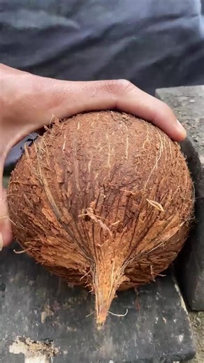 #coconut #cutting #asmrcoconut #satisfying #viralshort