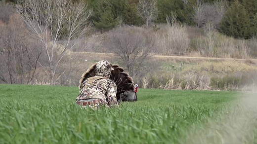 What’s everyone’s favorite way to turkey hunt? Let us know! #kansas #turkeytok #sitkagear #MaiselChallenge