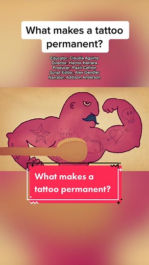 How Tattoos Become Permanent