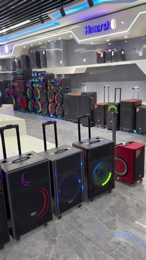 Inside a Speaker Factory: Unveiling Audio Magic