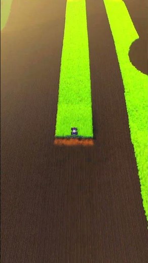Satisfying ploughing #farmingsimulator25 #farmingsimulator #farmingsimulator19