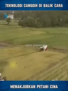 Inovasi Modern yang Mengubah Cara Petani Cina Memanen Padi . . . #portalinformasi | Portal Informasi