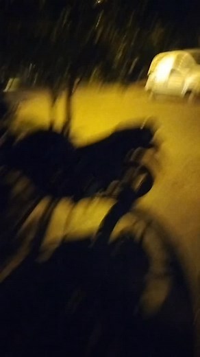 Gustavo Tranier on Reels