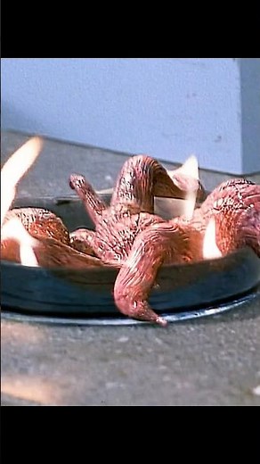 Clear with fire? No, it evolves by fire 🔥🧫 Evolution (2001)