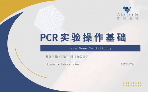 基础试验操作篇——PCR实验