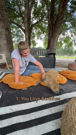 Are you secretly a capybara?