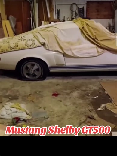 Exploring the Power of the Mustang Shelby GT500
