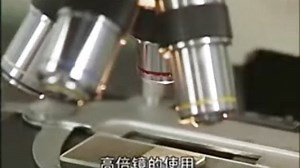 {中级篇}双目显微镜含油镜的使用