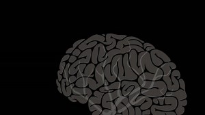 169K views · 1.2K reactions | Până acum știam că neuronii ”morți” din creier așa rămân, dar se pare că nu mai e chiar așa ... Sursa video: www.ted.com | Tikaboo Romania | Facebook