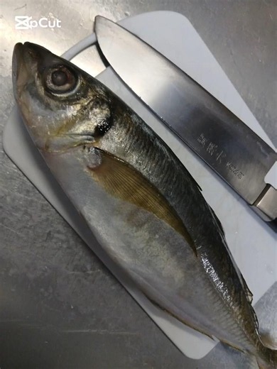 アジがでかくて刺身半分食べた残りをムニエルにしてみた。アジパン♯クッキング