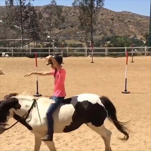 We challenged you to #NeverStopSwimming, here are some of our favourite videos created by YOU! | Speedo