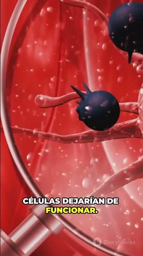 Tu ADN arregla errores todo el día | Reparación del ADN