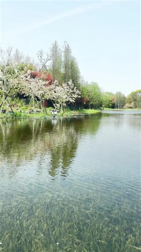 #无锡旅游景点推荐 春季的拈花湾真的很美～