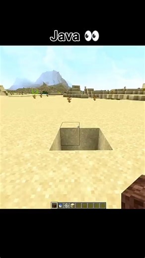 why...? #java #bedrock #minecraft
