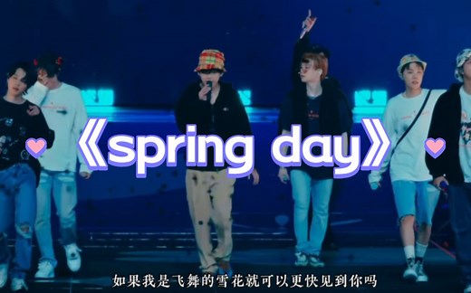 《spring day》——BTS（防弹少年团）演唱会高清版【中字】