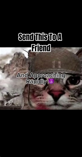That Turned Dark Really Fast… #catmemes #cat #funnymemes #funny #sendthistoafriend #meme #catshorts