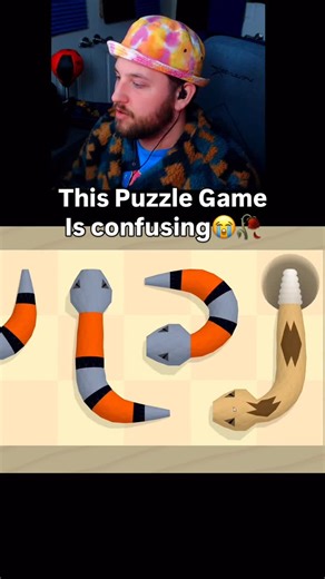 The solution was confusing 😭 this is a fun puzzle game called a snake’s tale it is a creative puzzle game where you have to get your snake out of cramped areas #gaming #gamer #puzzlegames #asnakestale #indiegames | AndySlaps