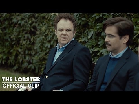 The Lobster | The Fight | Official Clip HD | A24