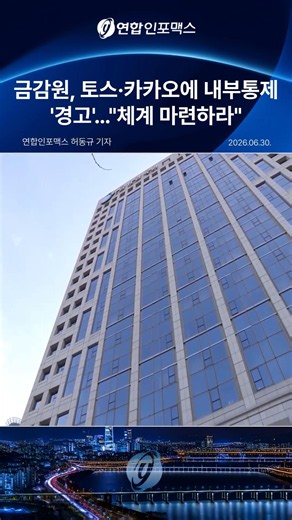 금감원, 토스·카카오에 모회사 중심 IT 내부통제 강화 요청