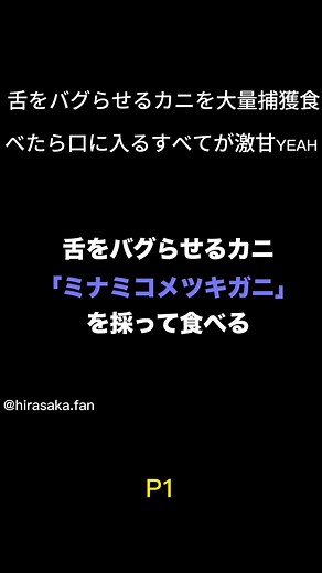 舌をバグらせるカニを大量捕獲食べたら口に入るすべてが激甘YEAH (P1)