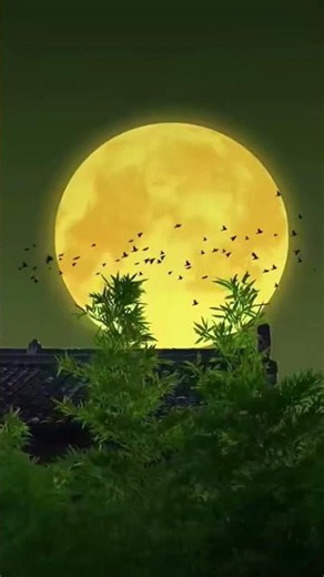 fondos de pantalla bonitos