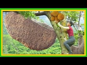 Expert techniques for catching bees safely 🏆