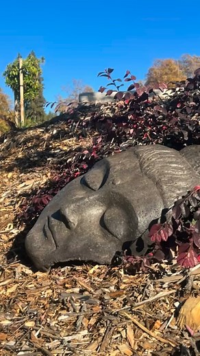 Studio Bridges on Reels