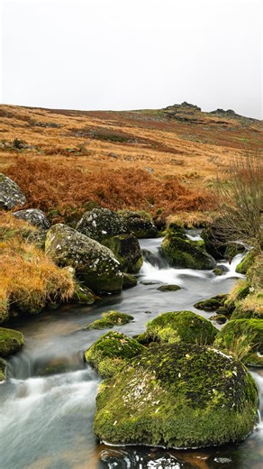 The Cornish Arms, Tavistock on Instagram: "Open moorland, tumbling streams historical monuments, pretty towns and villages are all within a few miles of The Cornish. Set out to explore further and both Devon coasts are also within easy reach. With seven delightful bedrooms to choose from why not get planning that trip now. Head to the link in our bio for room and table bookings. #Devonholiday#dartmoor#tavistock"