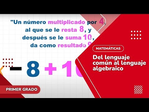 19. From common language to algebraic language