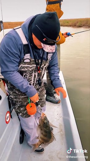 that's #hitting the #inshore #lottery #free #freestuff #jighead #noexcuses #fyp #fishtok #viral #saltstrong #fishing #dockdiving #sheeple #sheepshead #fish #yum