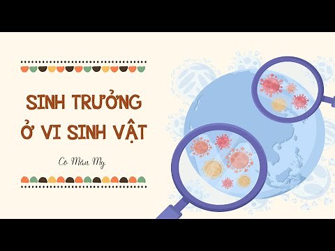 Sinh trưởng ở vi sinh vật - Sinh học 10 - OLM.VN