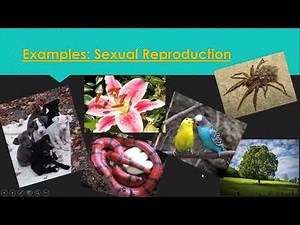 Grade 6- Unit 2 chapter 1- Types of reproduction