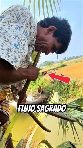 This is how India's SACRED elixir is made! 🌴
