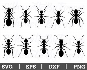 Ants Svg, Ants Cut File, Ant Silhouette, Ant Vector, Ant Dxf, Png - Etsy UK