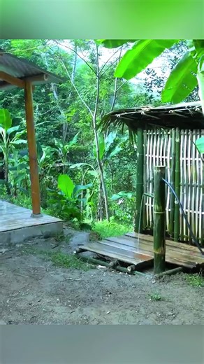 Harvesting Fresh Fruits in Farm Life