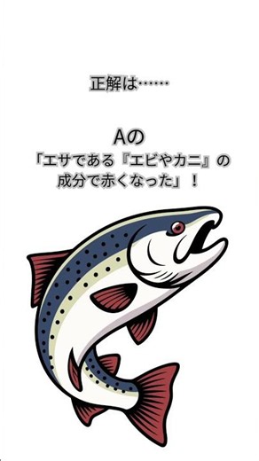 ⁠【大人の理科】騙されてた！？身がどう見ても赤い「鮭」が、実はマグロとは違う『白身魚』である衝撃の理由。 #理科クイズ #雑学 #shorts⁠