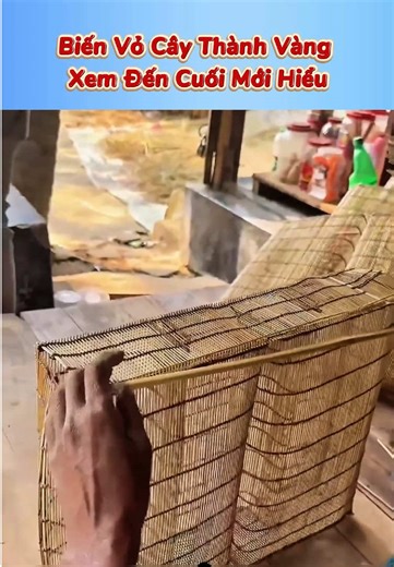 Biến vỏ cây thành vàng - Review phim và kiến thức cuộc sống