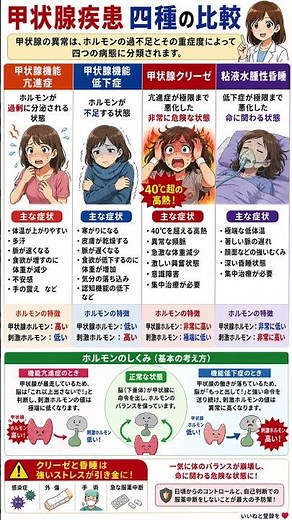 甲状腺の異常を見逃さない！バセドウ病・橋本病から命に関わる「クリーゼ」まで。ホルモンの暴走と停滞が引き起こす全身症状をプロが図解！