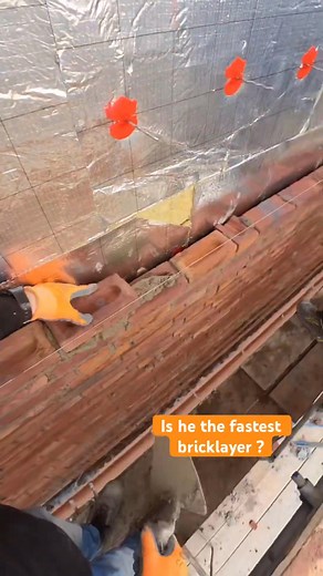 Fastest bricklayer | Bernardo Farmer