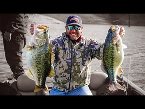 Alex Niapas Reels in Two MONSTER Bass on Shasta