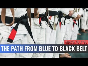 The Path from Blue to Black Belt (Master Cycle)