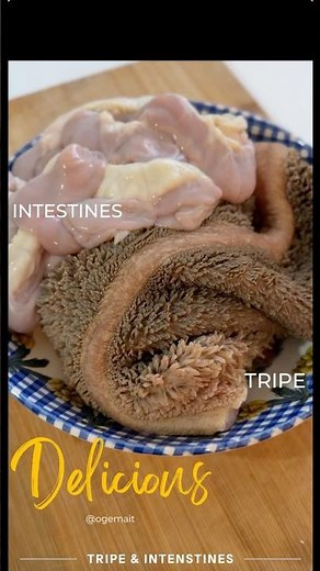 Easy Tripe and Intestines Recipe! | How To Cook Tripe | Trippa | Mogodu | Maguru neMatumbu