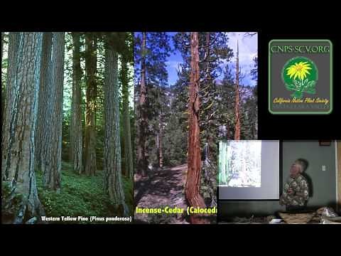 California Ethnobotany: Historical Uses of Native Plants