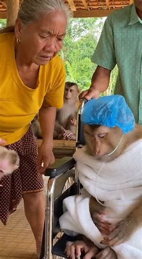 Try to push to give birth | Fresh diy